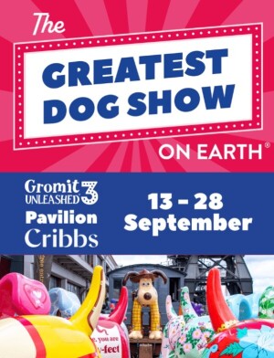 Article Thumbnail Image