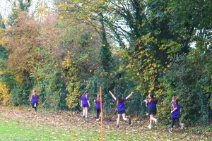 Article Thumbnail Image